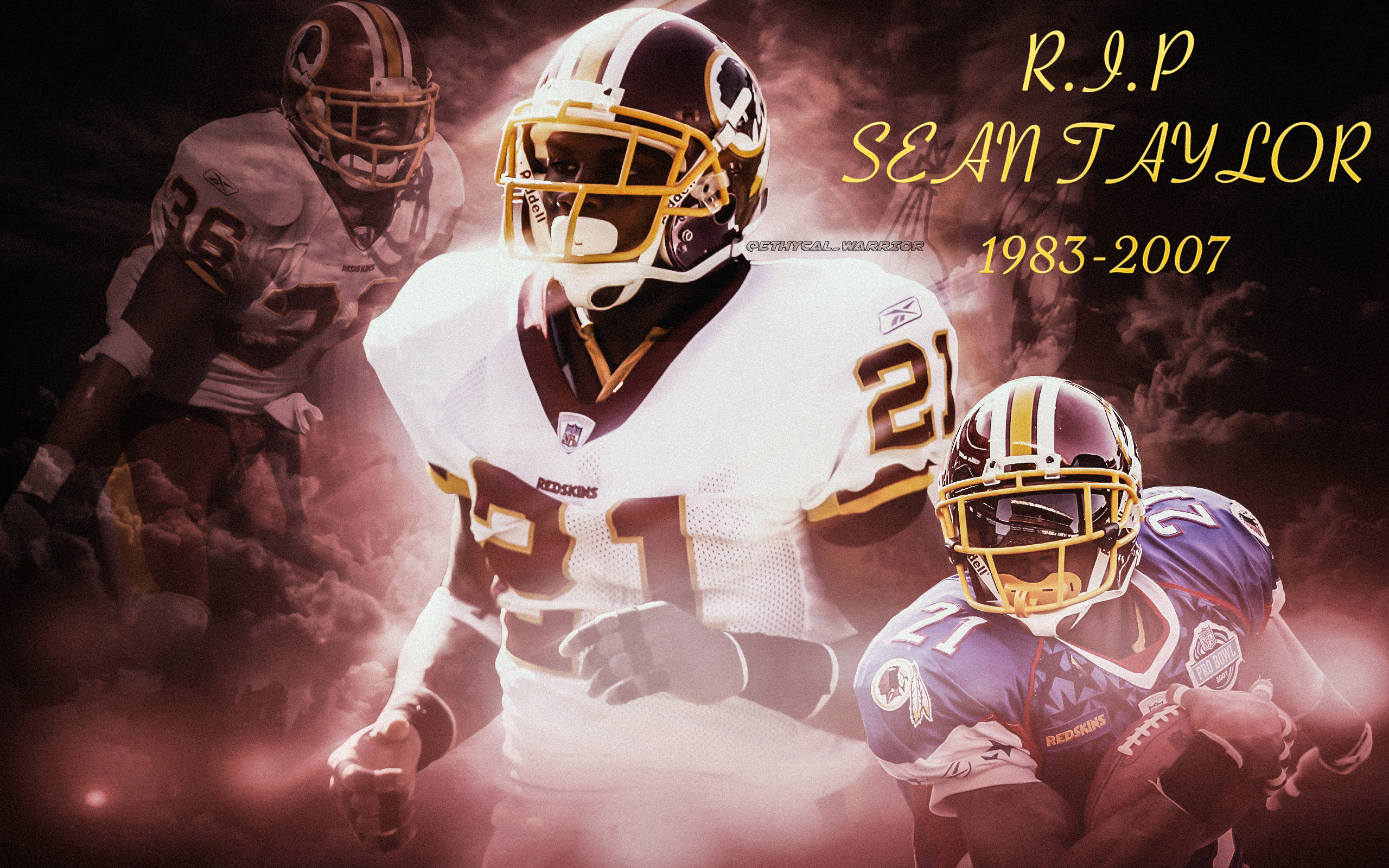 Sean Taylor Wallpaper - HD Wallpaper 