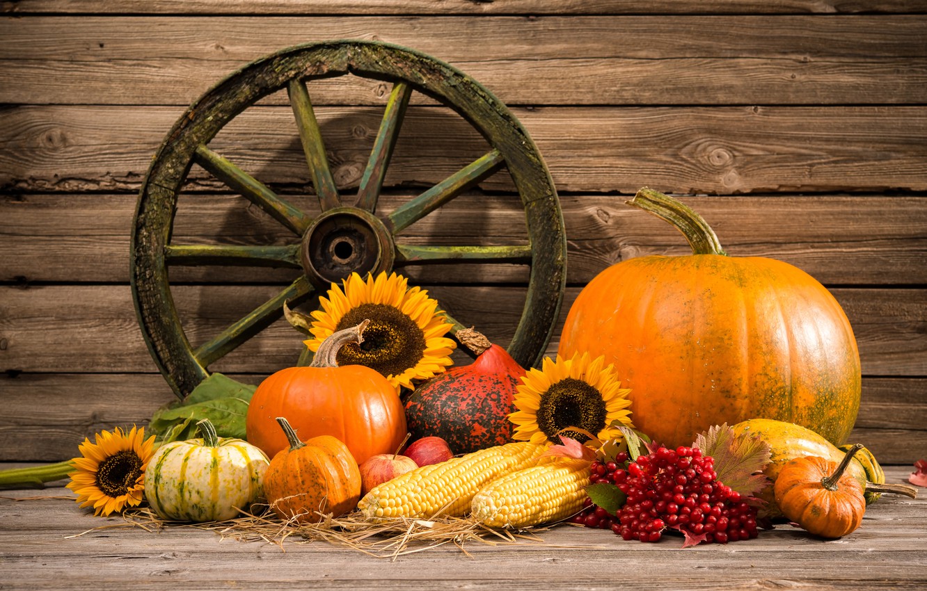 Photo Wallpaper Autumn, Harvest, Pumpkin, Still Life, - Fall Harvest Facebook Covers - HD Wallpaper 