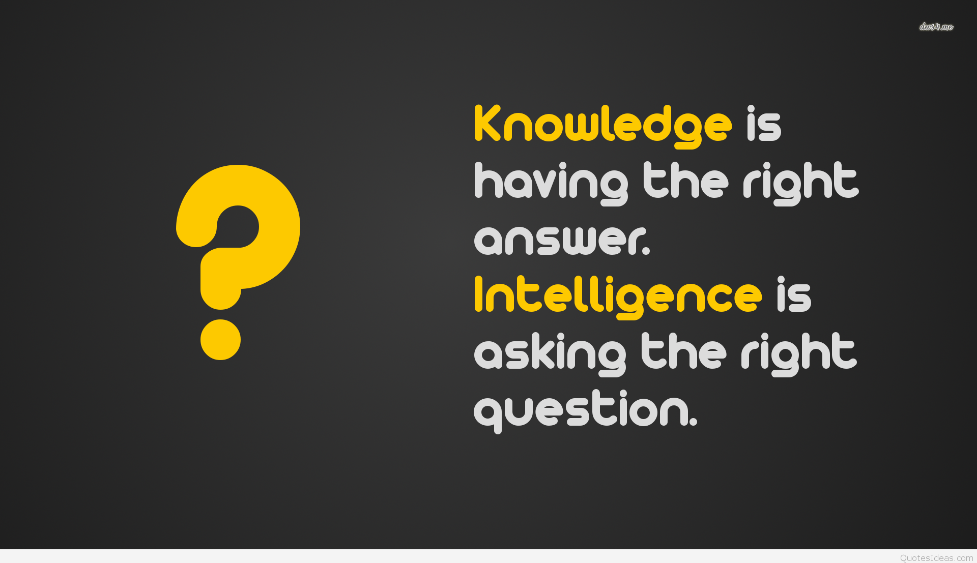 Knowledge Vs Intelligence Answer Question Quote Quotes - Knowledge Quotes - HD Wallpaper 