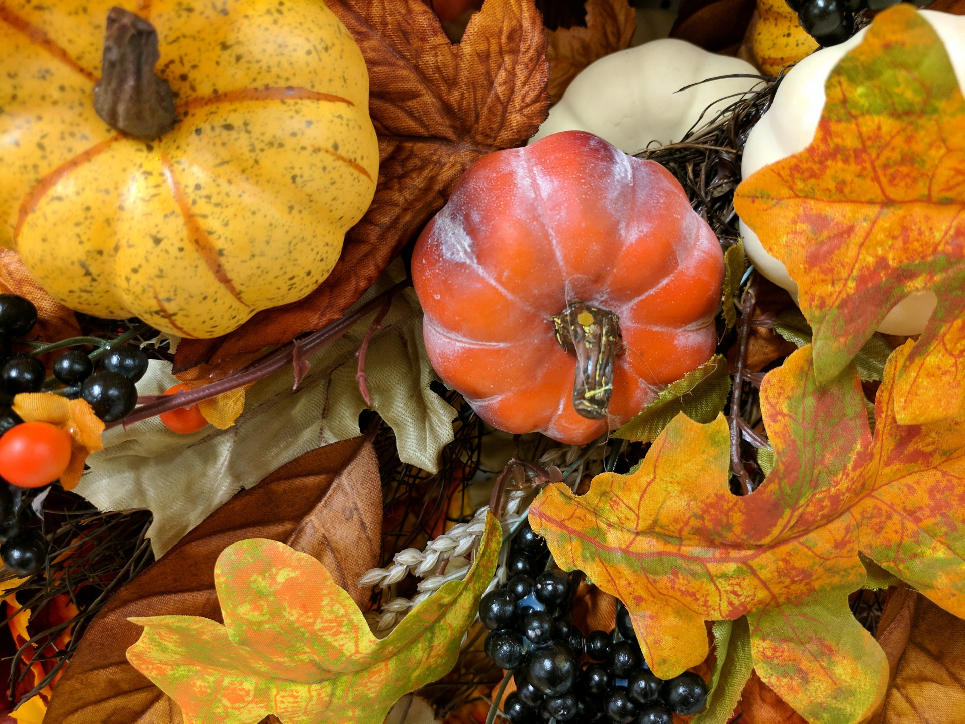 Background Wallpaper Autumn Free Photo - Autumn Background - HD Wallpaper 