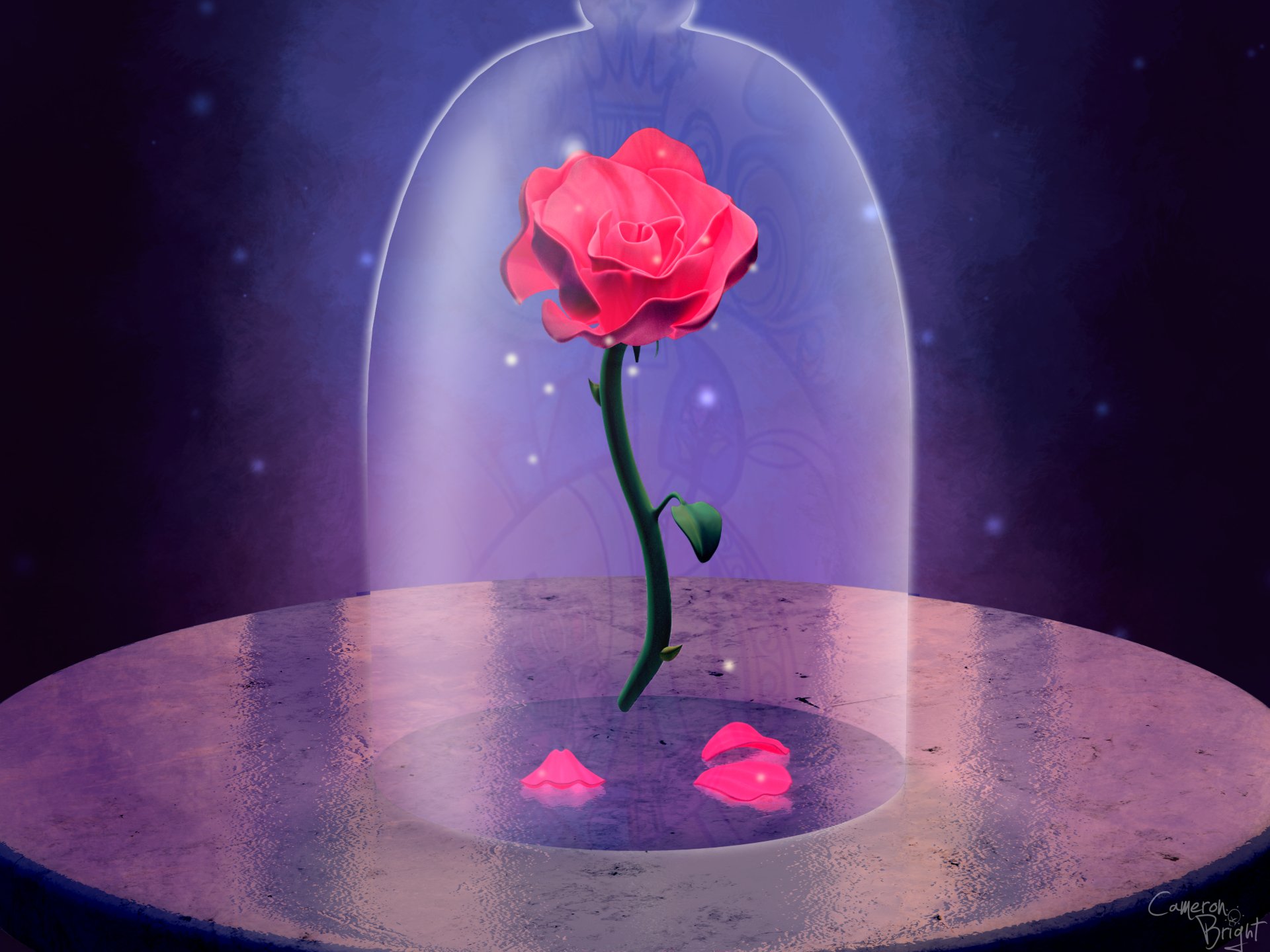 Beauty And The Beast Pink Rose - HD Wallpaper 