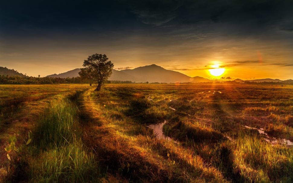 Windows 10 Wallpaper Hd-10 - End Of Summer Field - HD Wallpaper 