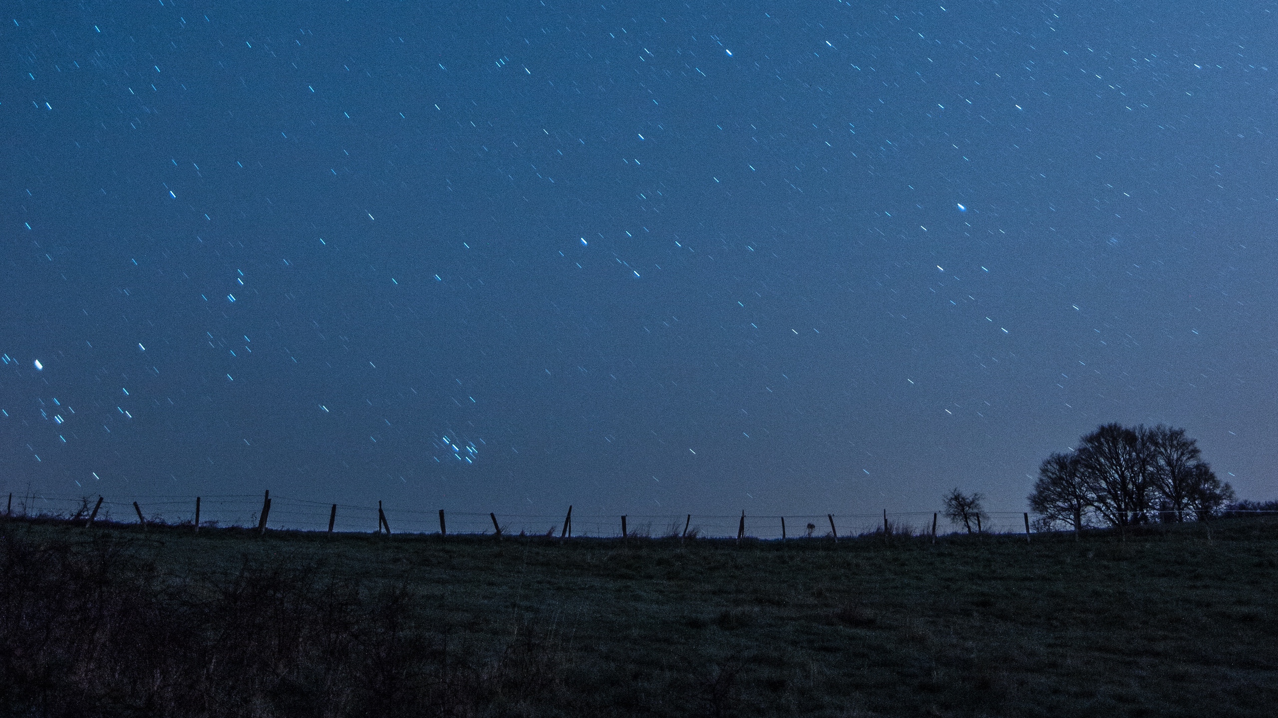 Wallpaper Meadow, Starry Sky, Night, Stars, Dark - Star - HD Wallpaper 