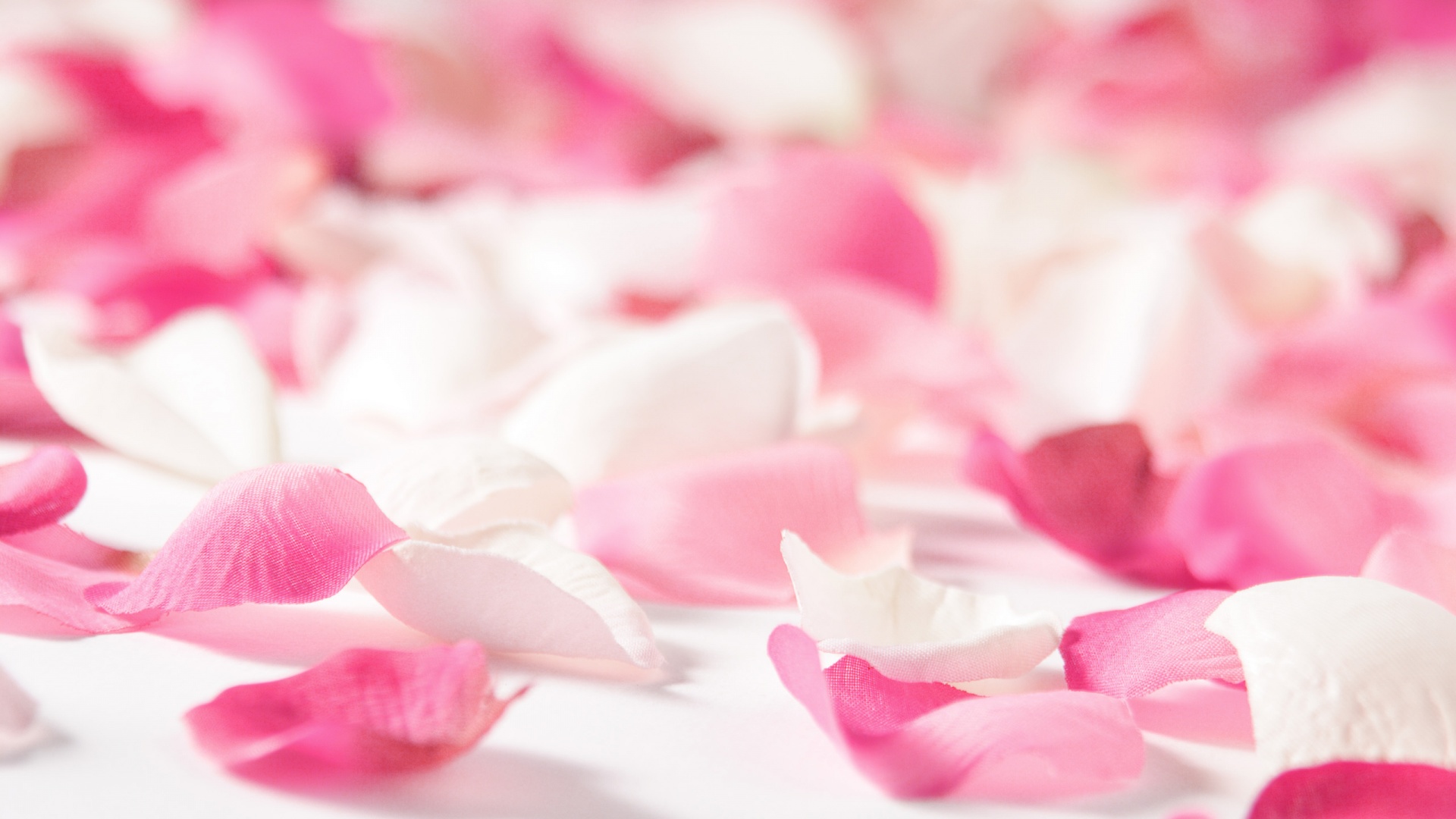 Pink Images Wallpaper Colour - HD Wallpaper 