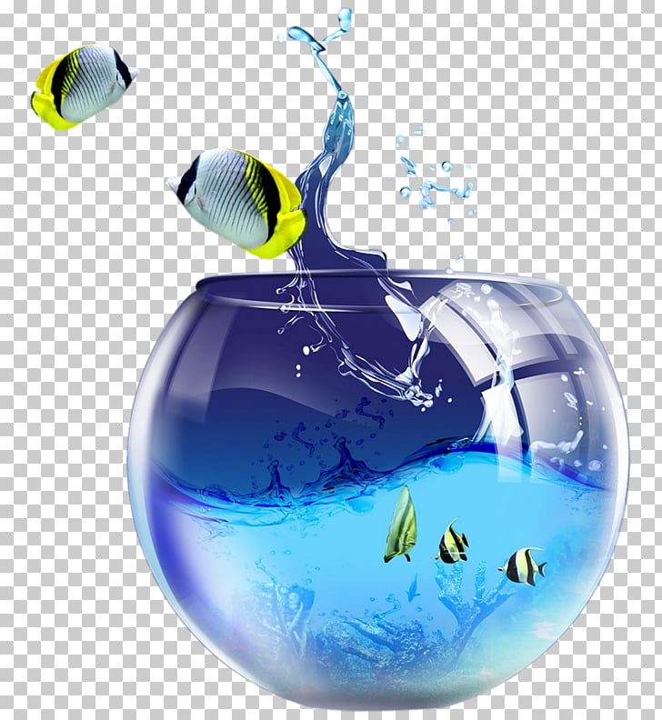 My Image 14