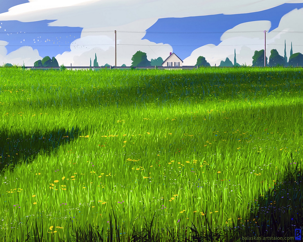 Wallpaper House, Meadow, Art, Field, Grass Digital Painting Grass