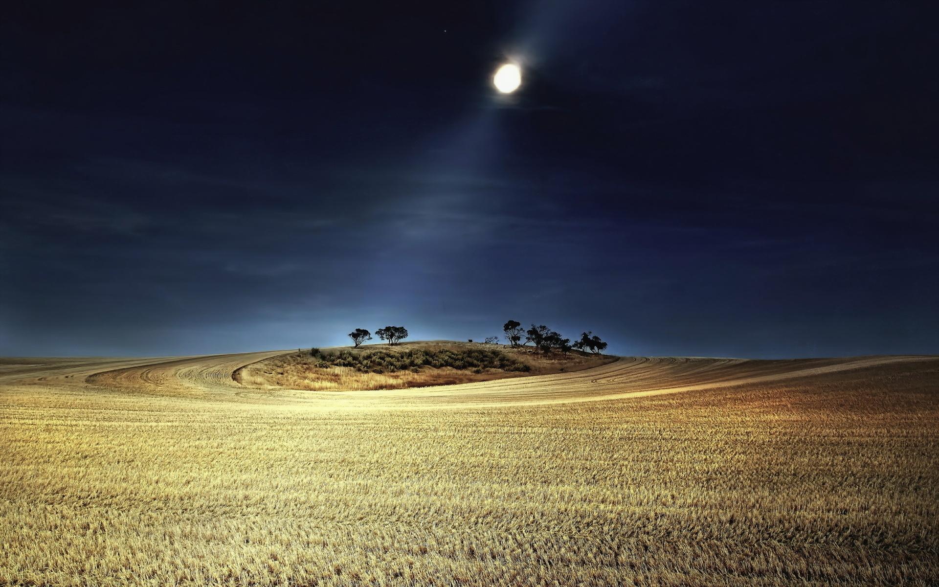 Harvest Moon - Farm Field At Night - HD Wallpaper 