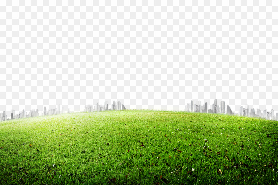 Meadow Png Desktop Wallpaper Clipart - Tree Psd - HD Wallpaper 