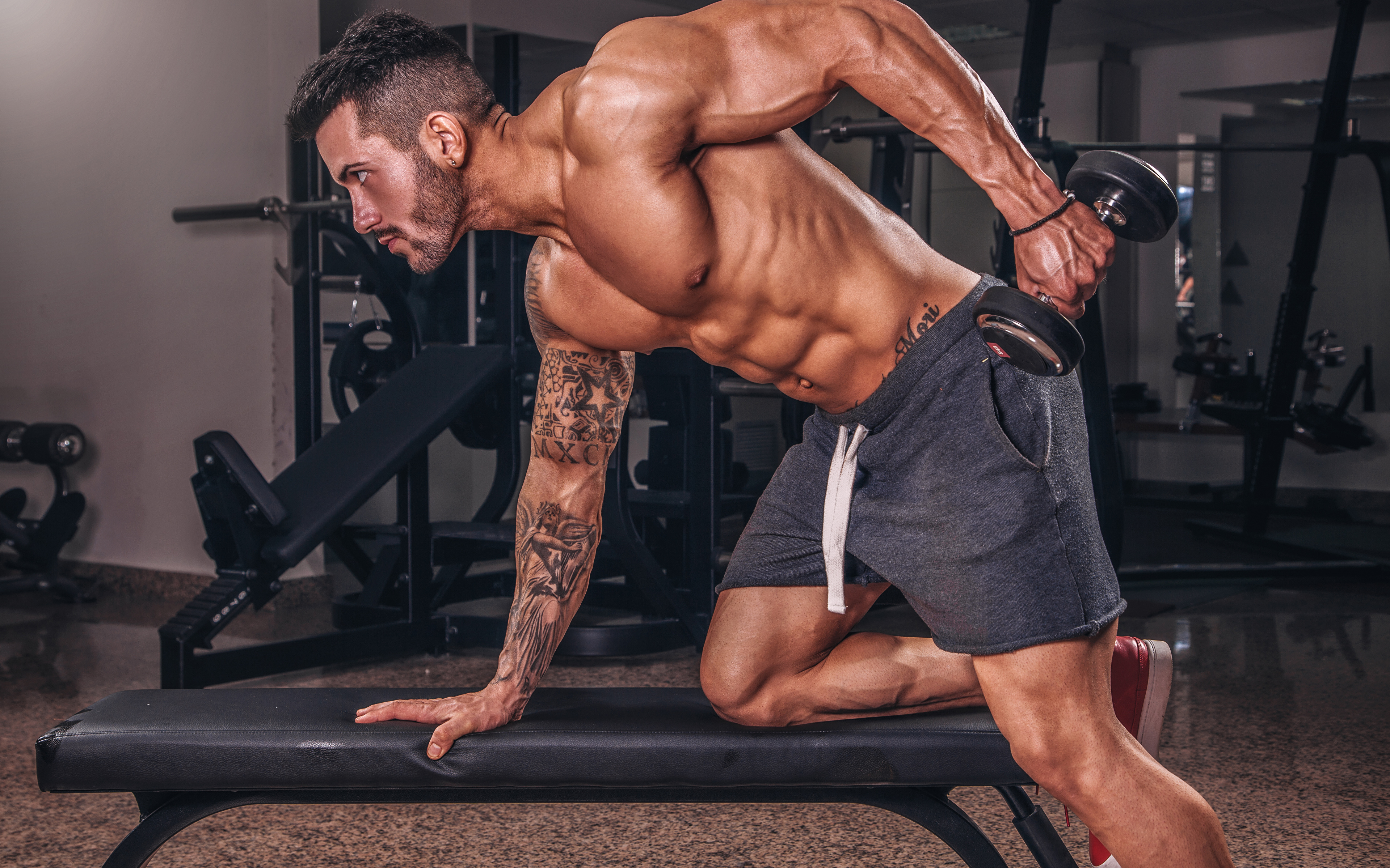 Muscle Men - HD Wallpaper 