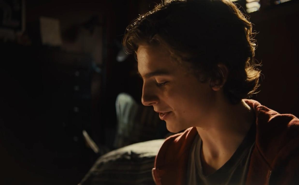 Beautiful Boy Wallpaper-7 - Timothee Chalamet Beautiful Boy - HD Wallpaper 