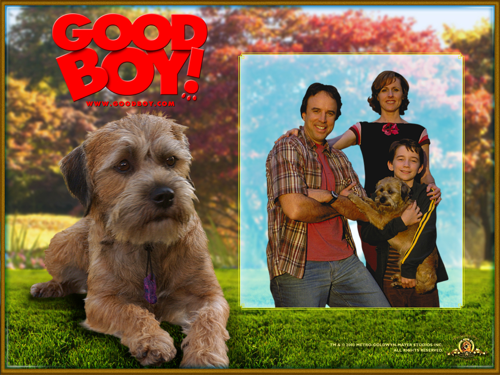 Good Boy Wallpaper - HD Wallpaper 