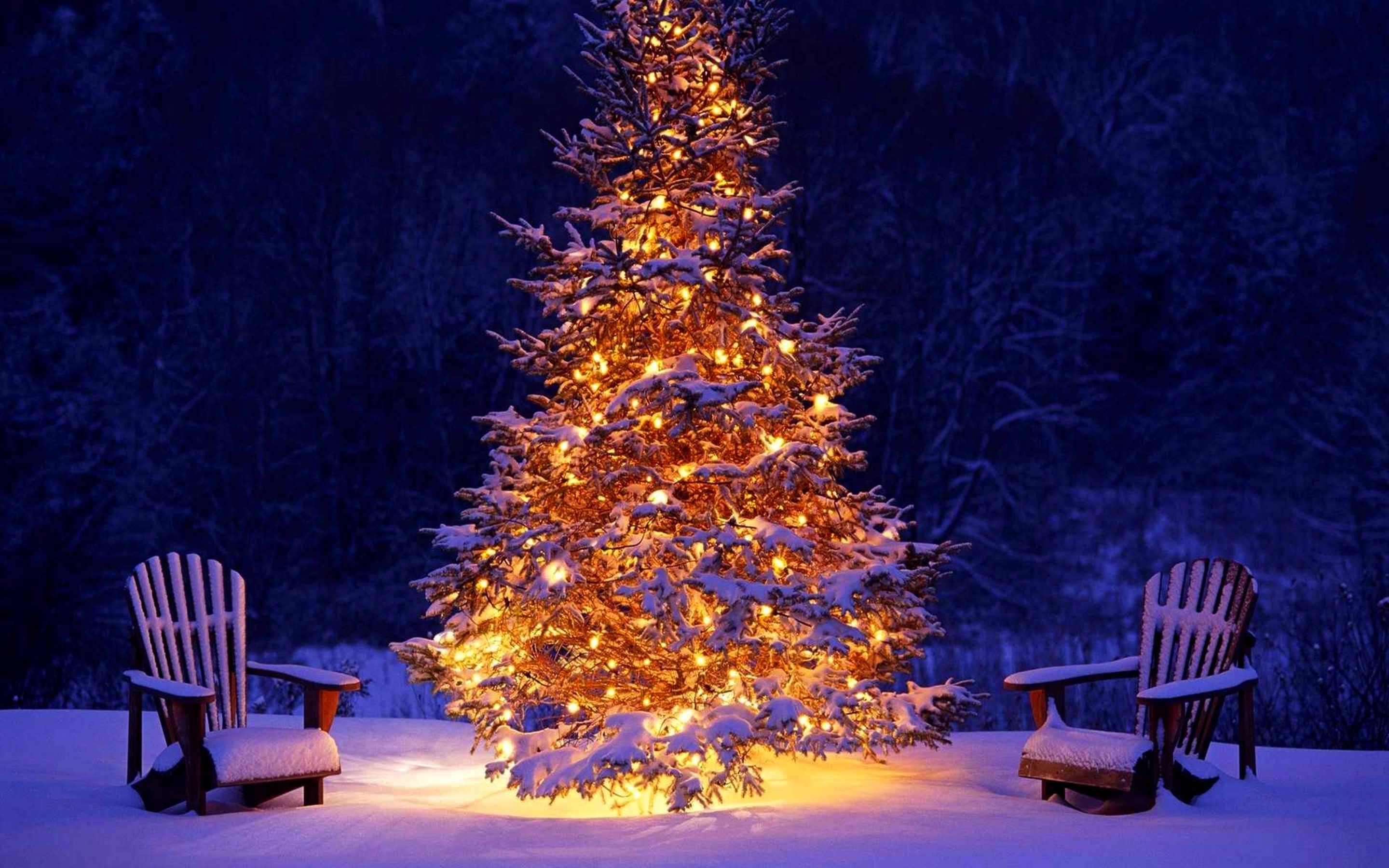 Christmas Tree Mac Wallpaper Data Src Cool Christmas - High Resolution Christmas  Background - 2880x1800 Wallpaper 