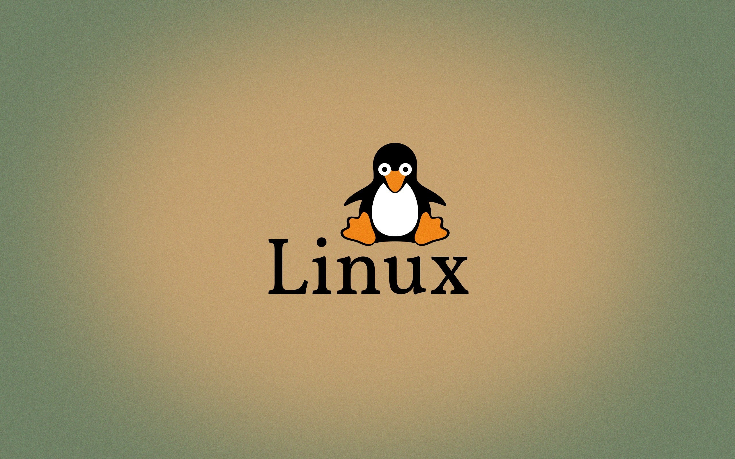 Tux, Linux, Open Source, Penguins, Logo Wallpapers - Adã©lie Penguin - HD Wallpaper 
