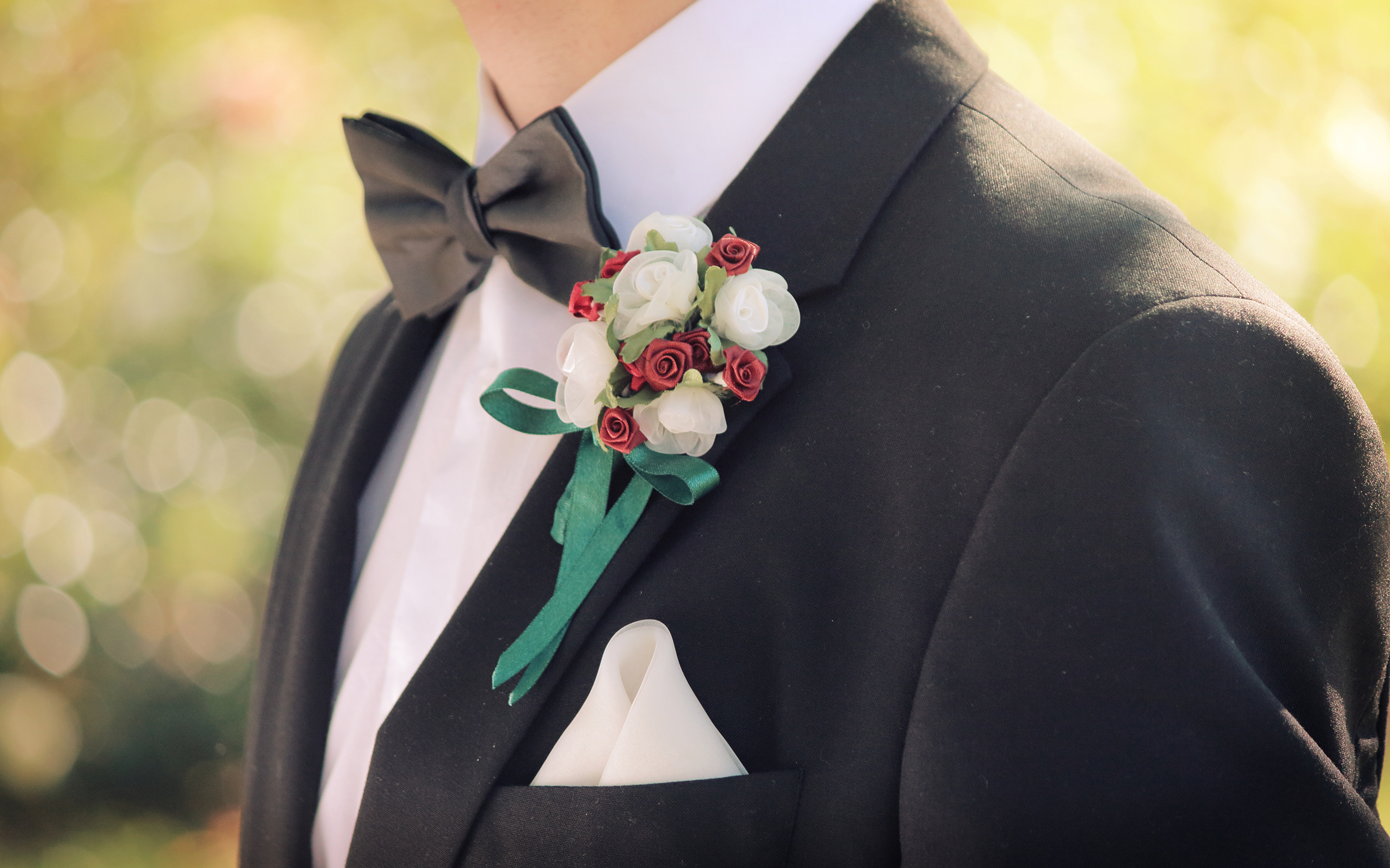 Babochka I Kostyum - HD Wallpaper 