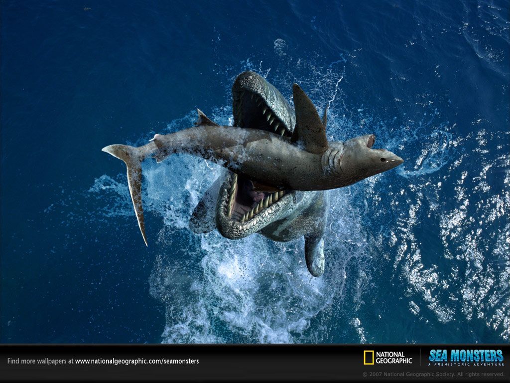 Sea Monsters: A Prehistoric Adventure (2007) - HD Wallpaper 