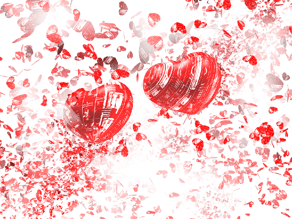 White Valentines Day Backgrounds - HD Wallpaper 