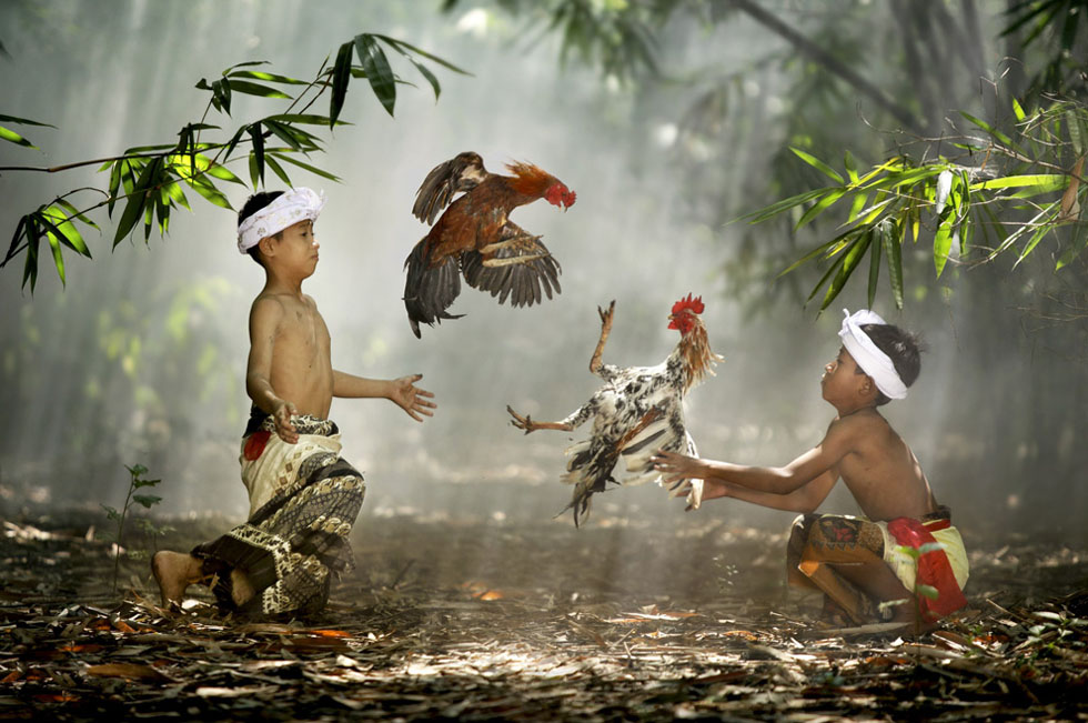 National Geographic Photos - National Geographic Photo Of The Year 2010 - HD Wallpaper 