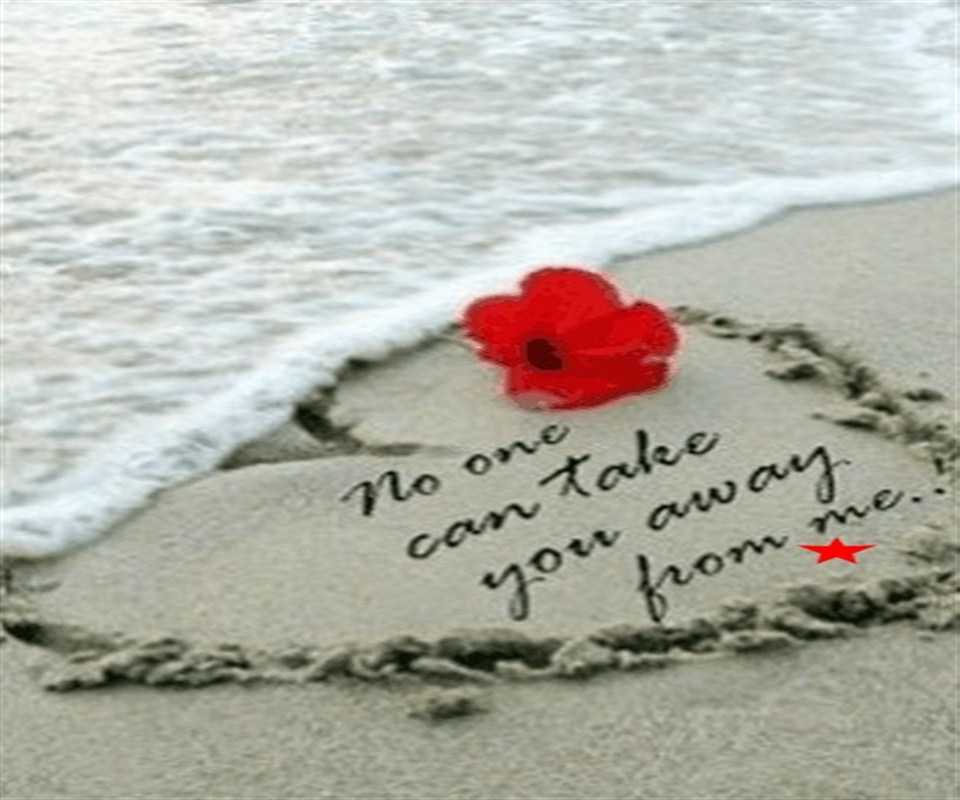 Feelings Of Love Wallpaper Feelings Of Love Wallpaper - No One Can Take You From Me - HD Wallpaper 