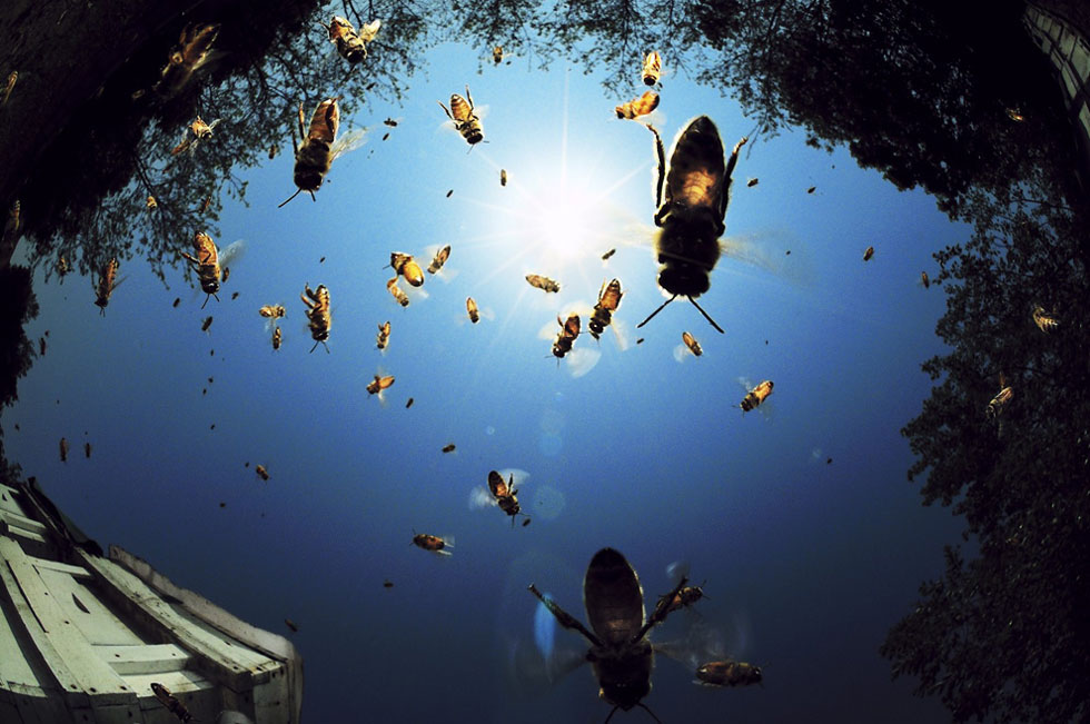 National Geographic Photos - 2010 National Geographic Photo Contest - HD Wallpaper 