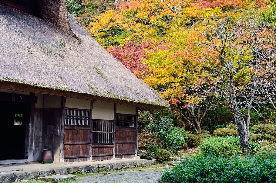 Japan, Landscape, Japanese Style, Old Houses, Thatched - HD Wallpaper 