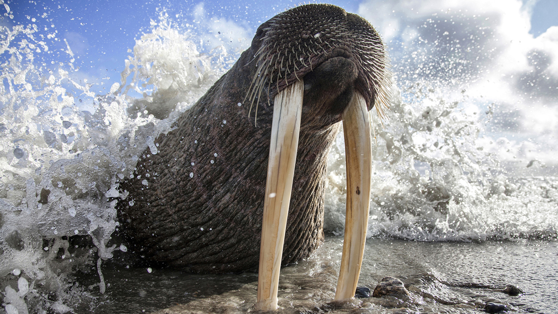 National Geographic Photography Oceans - HD Wallpaper 