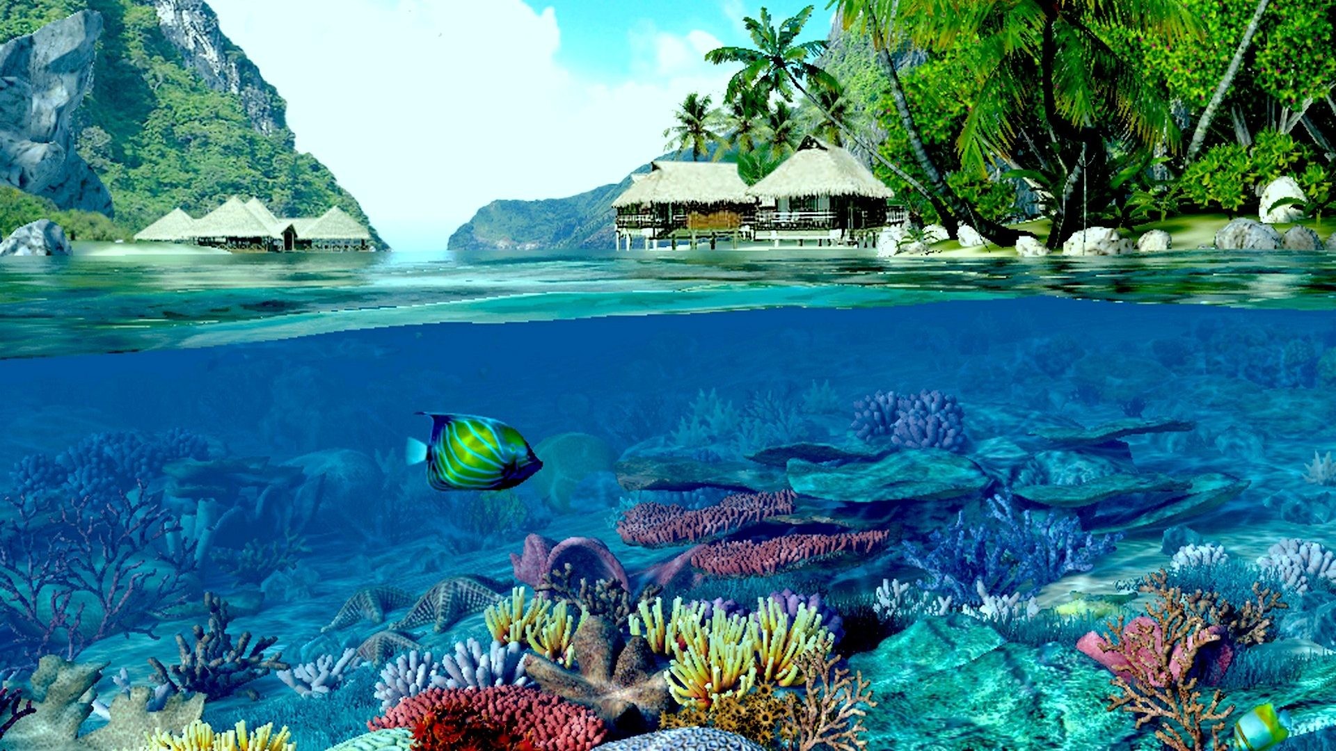 Reef Tag - Coral Reef - HD Wallpaper 