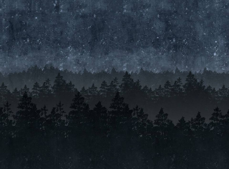 Night Forest Wall Mural - HD Wallpaper 