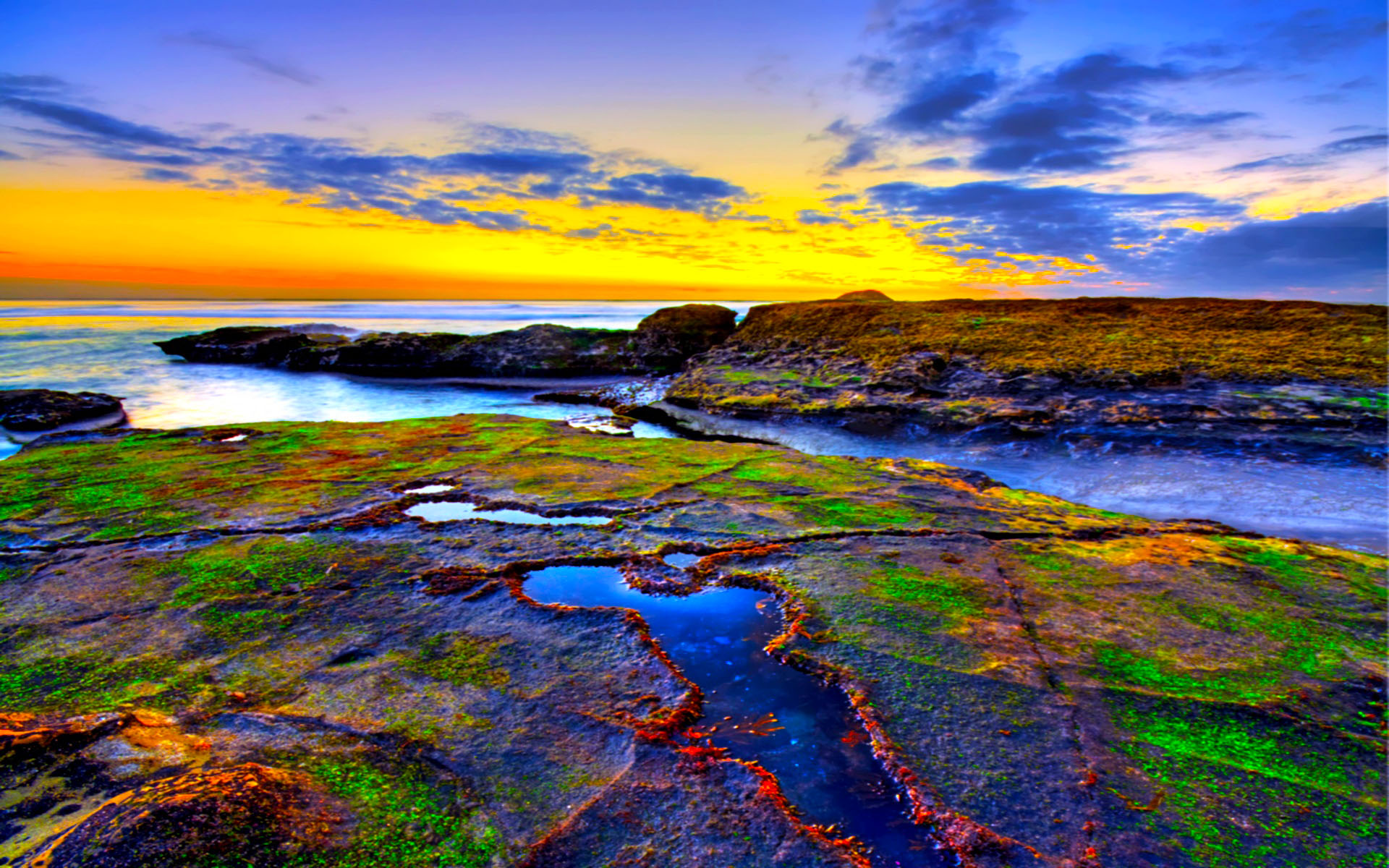 Reef Wallpaper - HD Wallpaper 