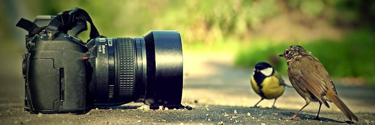 Best Photography Images World Hd - HD Wallpaper 