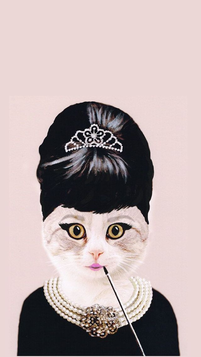 Searching The Ladies And The Gents Wallpapers Ordered - Cat Audrey Hepburn - HD Wallpaper 