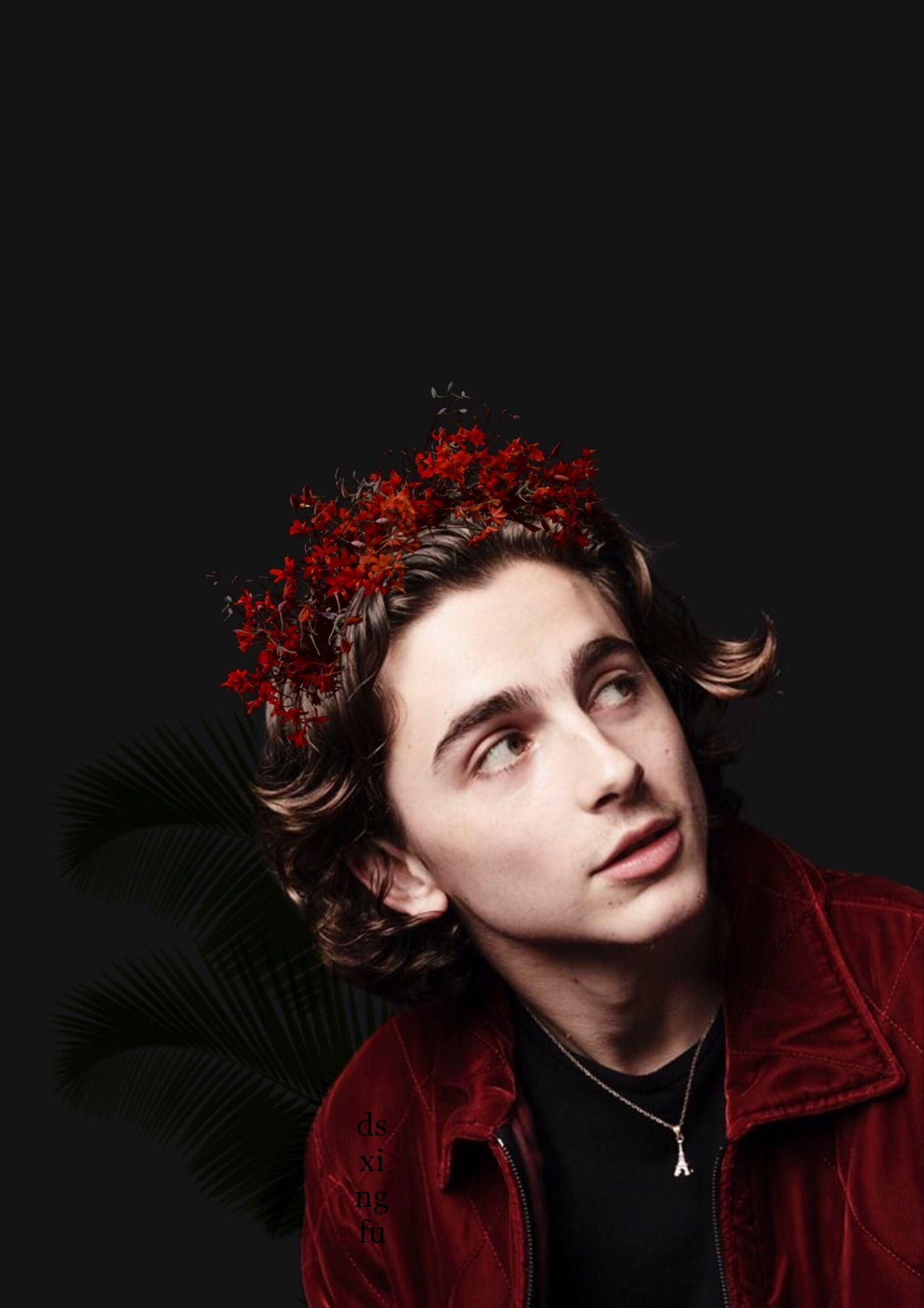 Timothée Chalamet The King - HD Wallpaper 