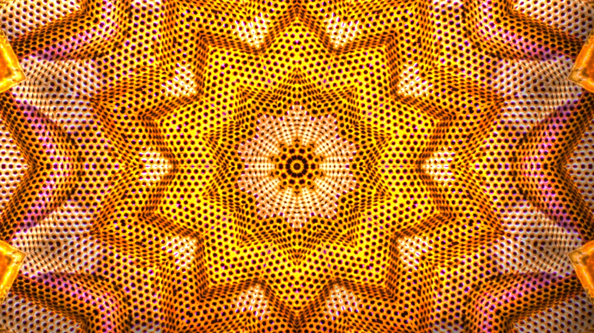 Background Wallpaper Kaleidoscope Free Photo - Flower - HD Wallpaper 