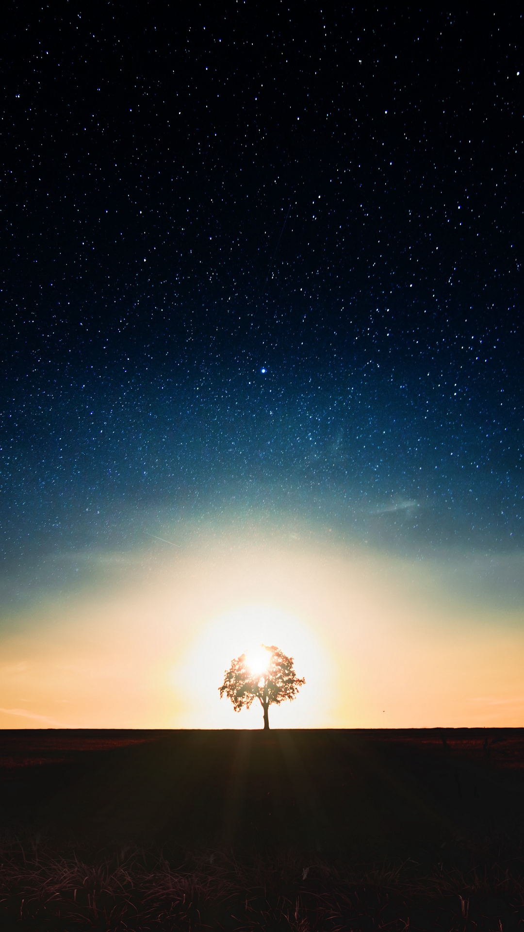 Starry Sky Tree Alone Wallpaper - Tree Alone In Galaxy - 1080x1920 Wallpaper  