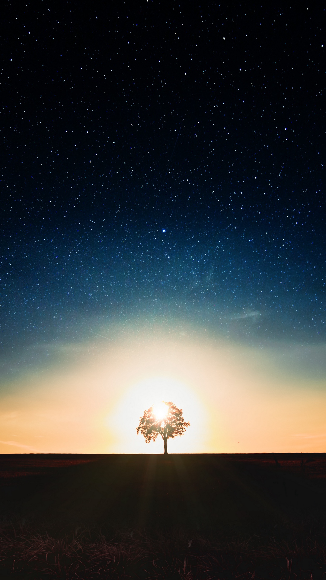 Starry Sky Tree Alone Wallpaper - Tree Alone In Galaxy - HD Wallpaper 