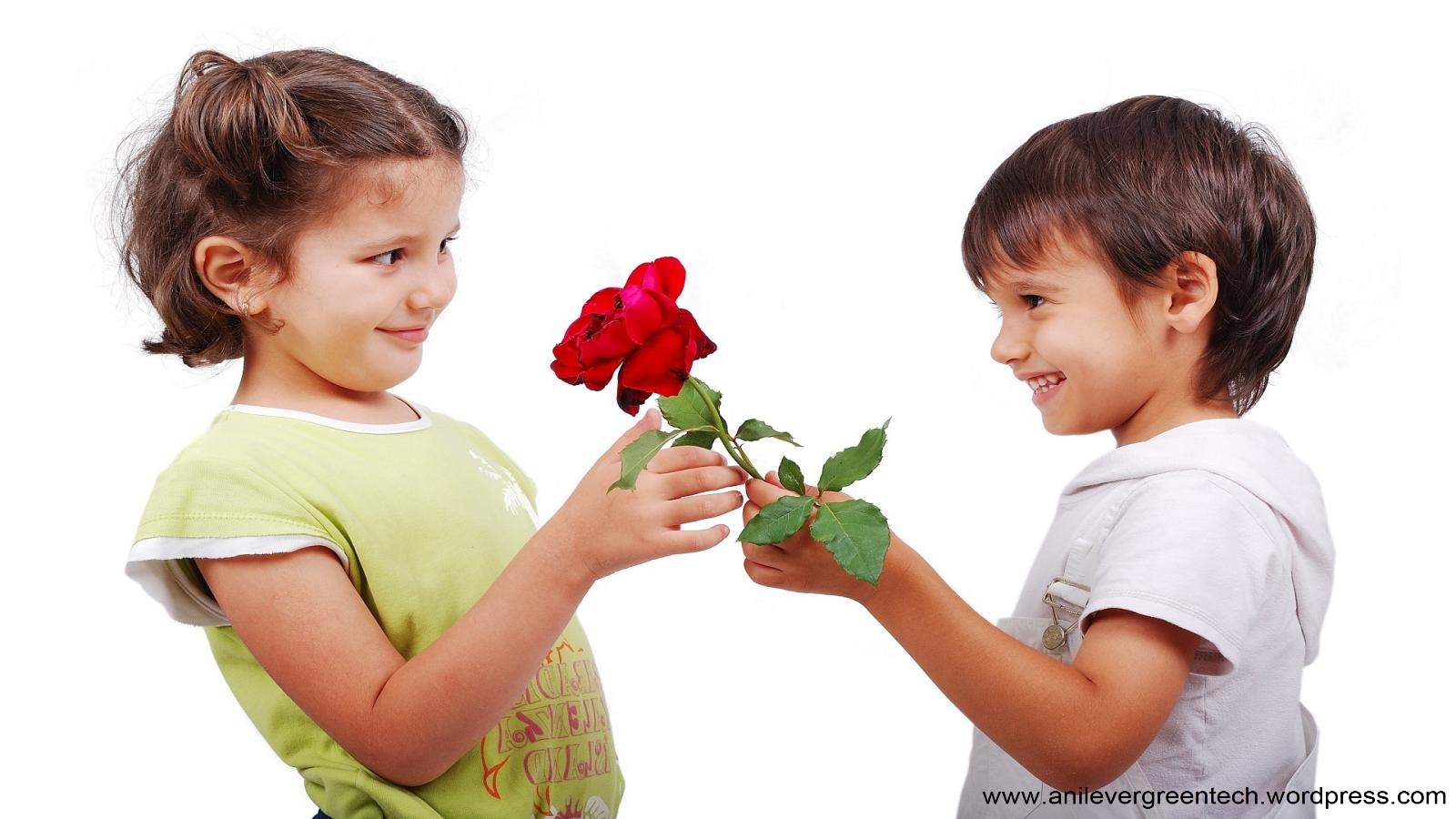 Girl Proposing Handsome Boy - HD Wallpaper 