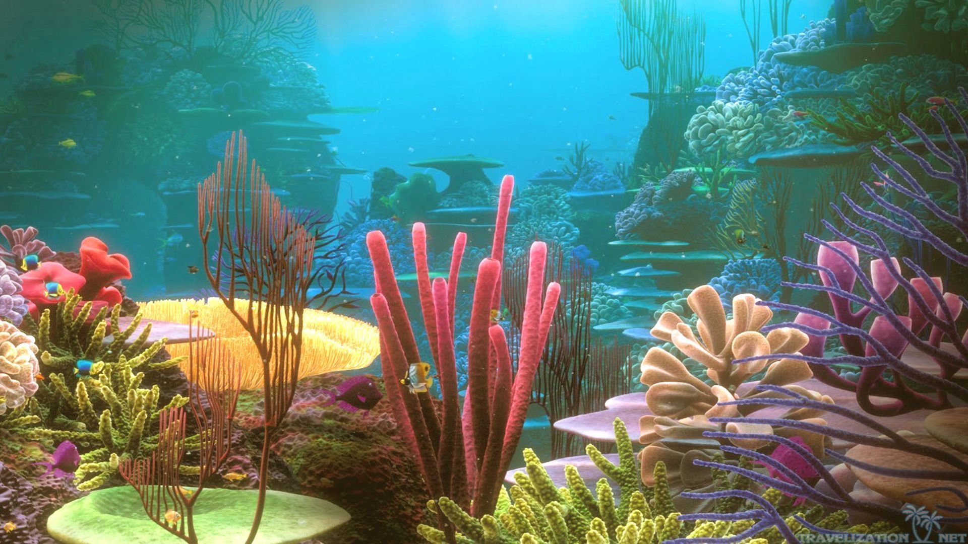 Colorful Coral Reef Desktop, Under Water Wallpaper, - No Man's Sky Exotic Biomes - HD Wallpaper 
