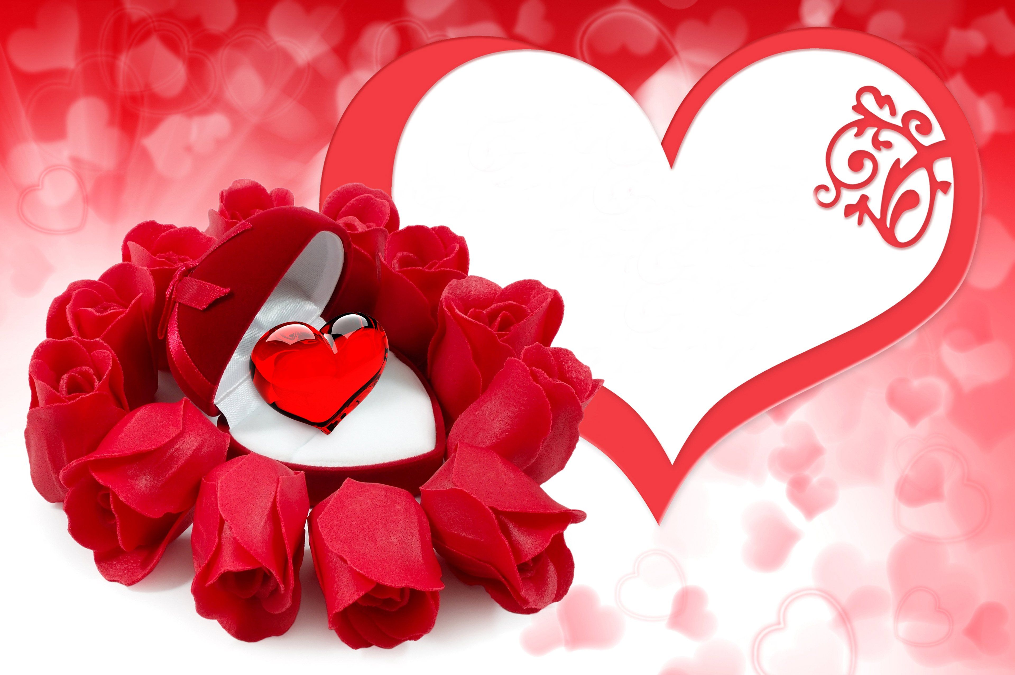 Benvenutiallangolo Love Valentines Day Wallpaper Images - Love Rose Wallpaper Flowers - HD Wallpaper 