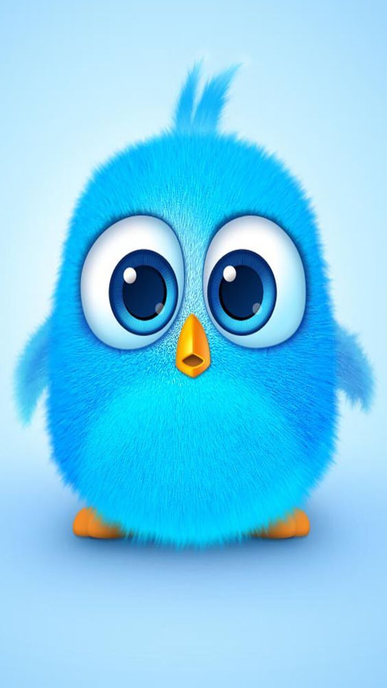Blue Cute Angry Birds - HD Wallpaper 