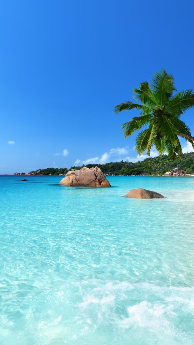 Anse Lazio, Praslin Island, Seychelles, Best Beaches - Seychelles Wallpaper Iphone - HD Wallpaper 