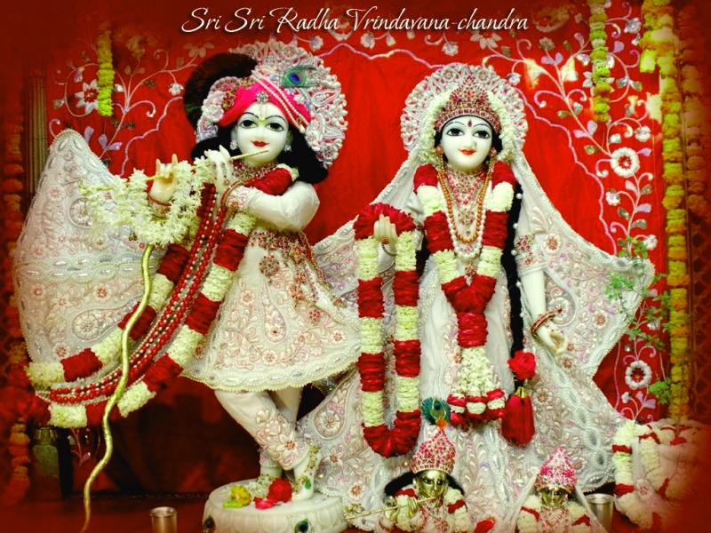 Sri Sri Radha Vrindavan Chandra - Shri Radha Vrindavan Chandra - HD Wallpaper 