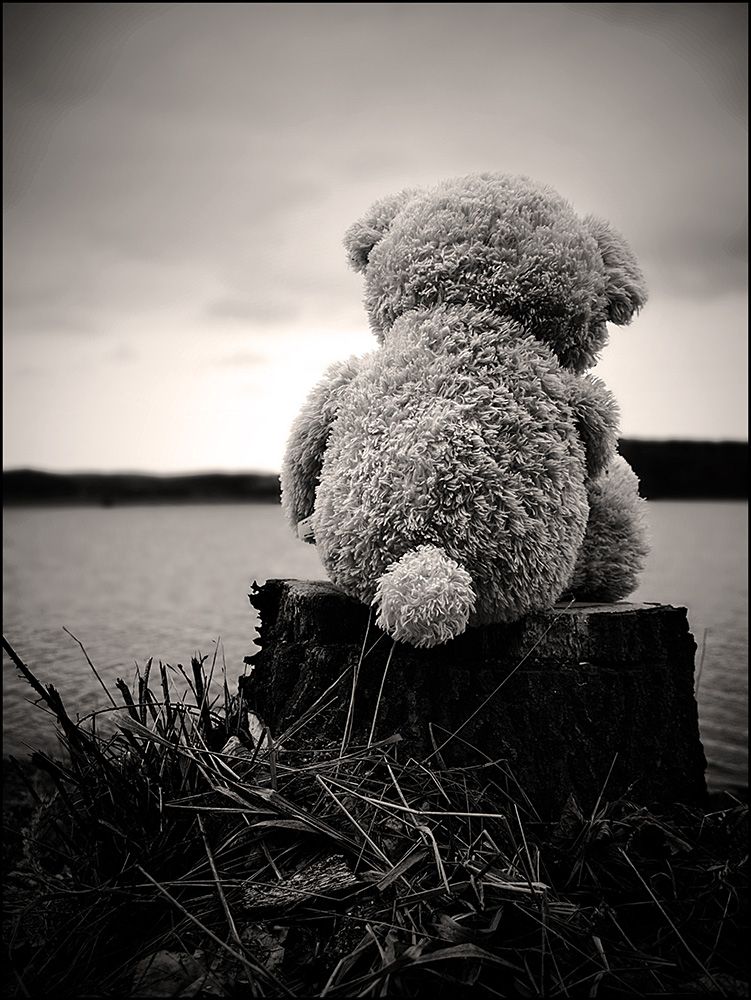 Sad Teddy Bear Black And White - HD Wallpaper 
