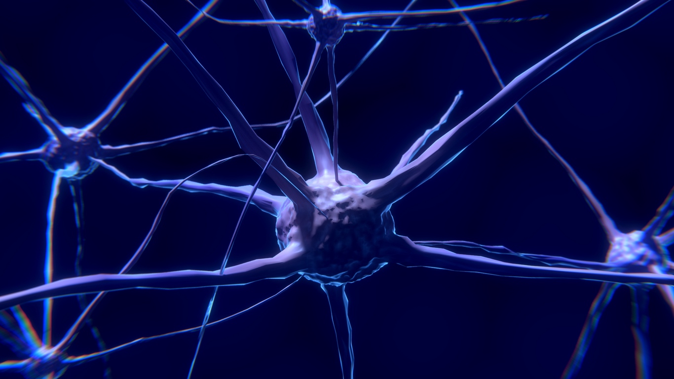 Wallpaper Nerve, Neuron, Synapse - Nerve Cells In Brain - HD Wallpaper 