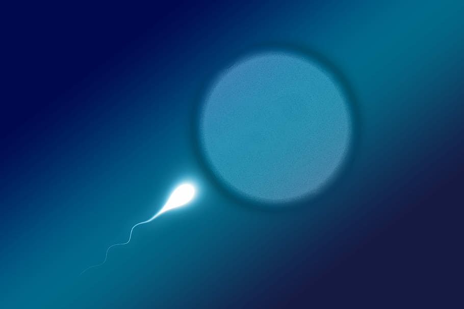 Untitled, Cum, Sperm, Winner, First, Sperium, Competition, - Sperm - HD Wallpaper 
