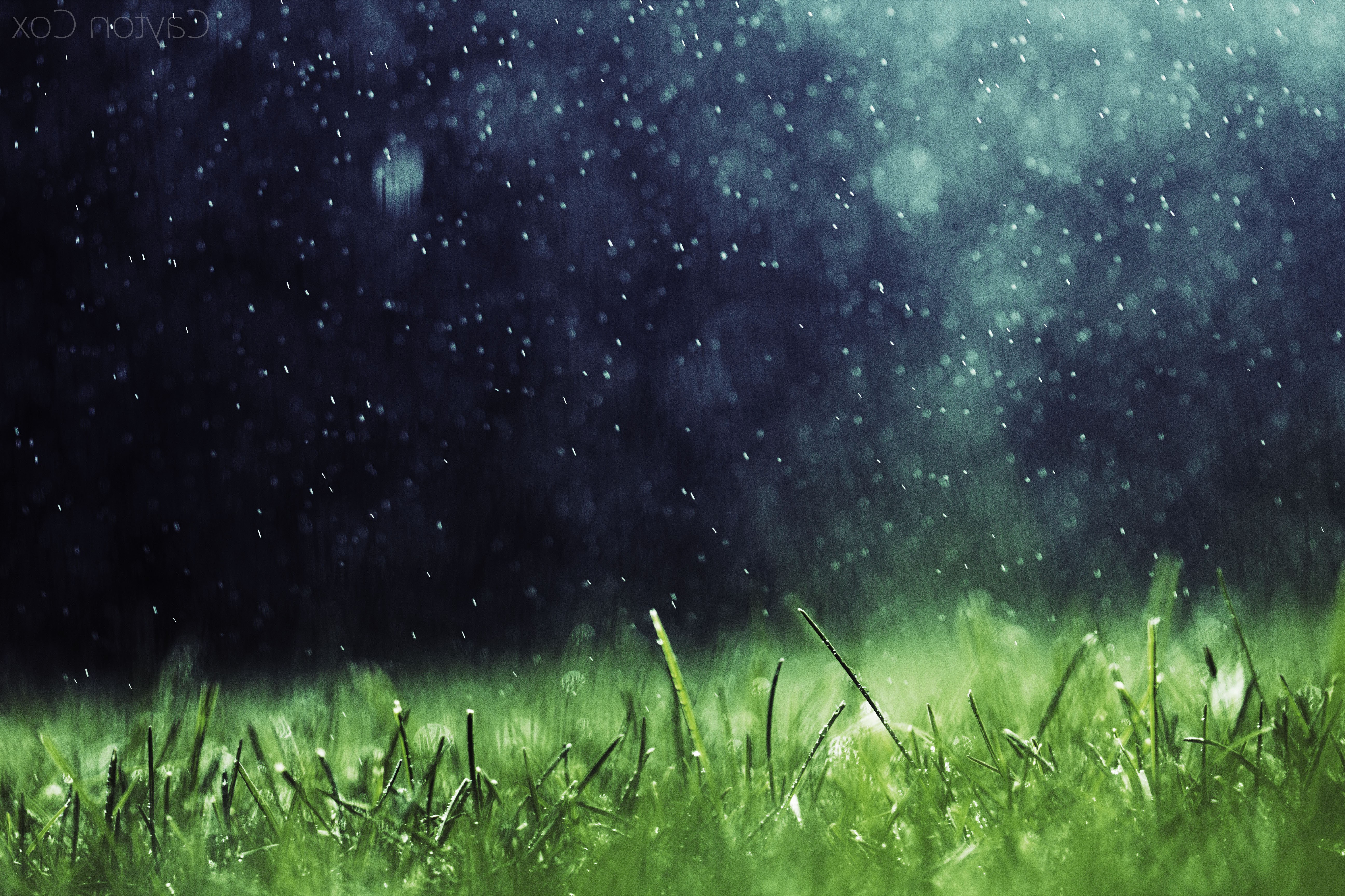 Nature Rain Background Hd - HD Wallpaper 