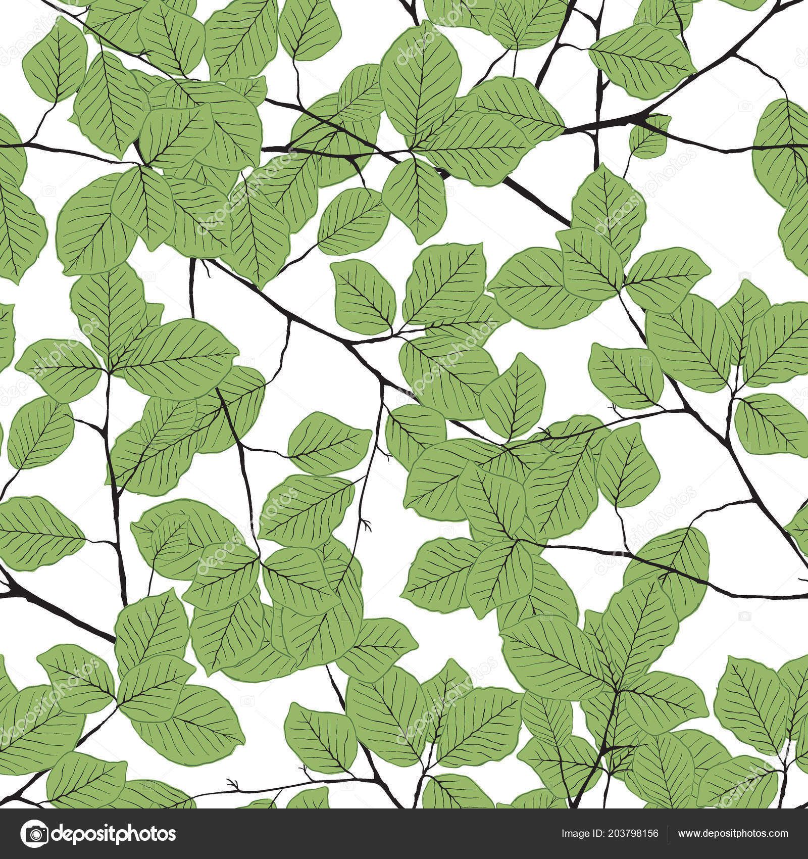 Plane-tree Family - HD Wallpaper 