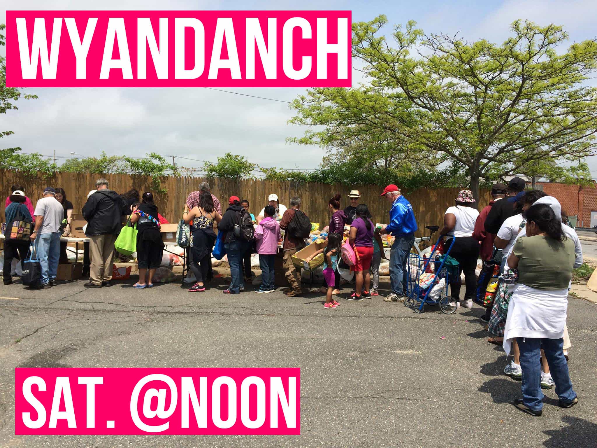 The Community Solidarity Wyandanch Food Shares Shares - Tree - HD Wallpaper 