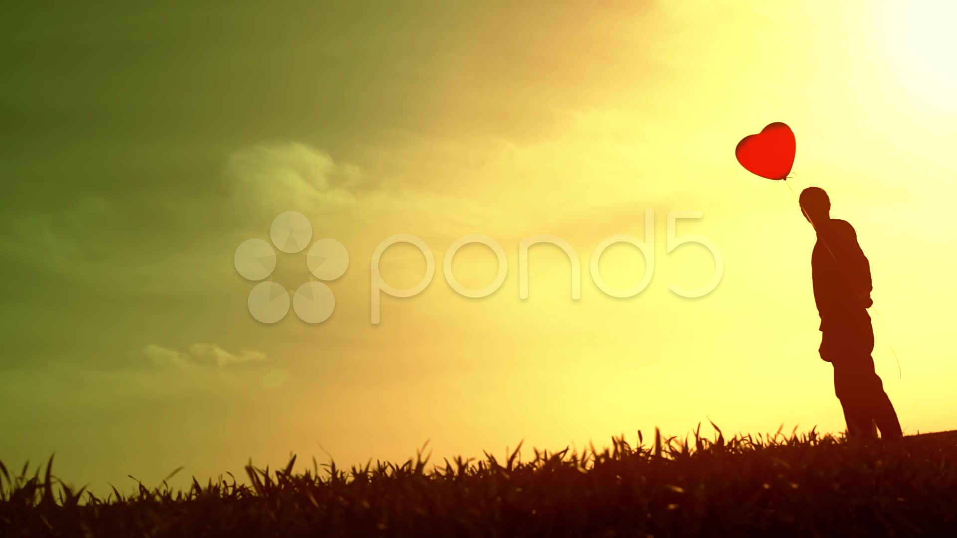 Grass - HD Wallpaper 