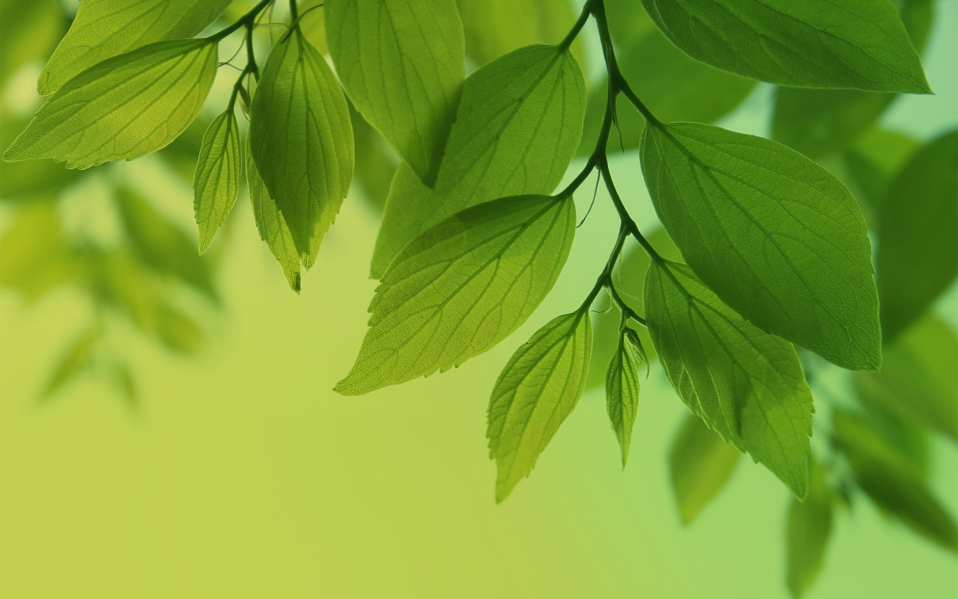 Samsung System - HD Wallpaper 