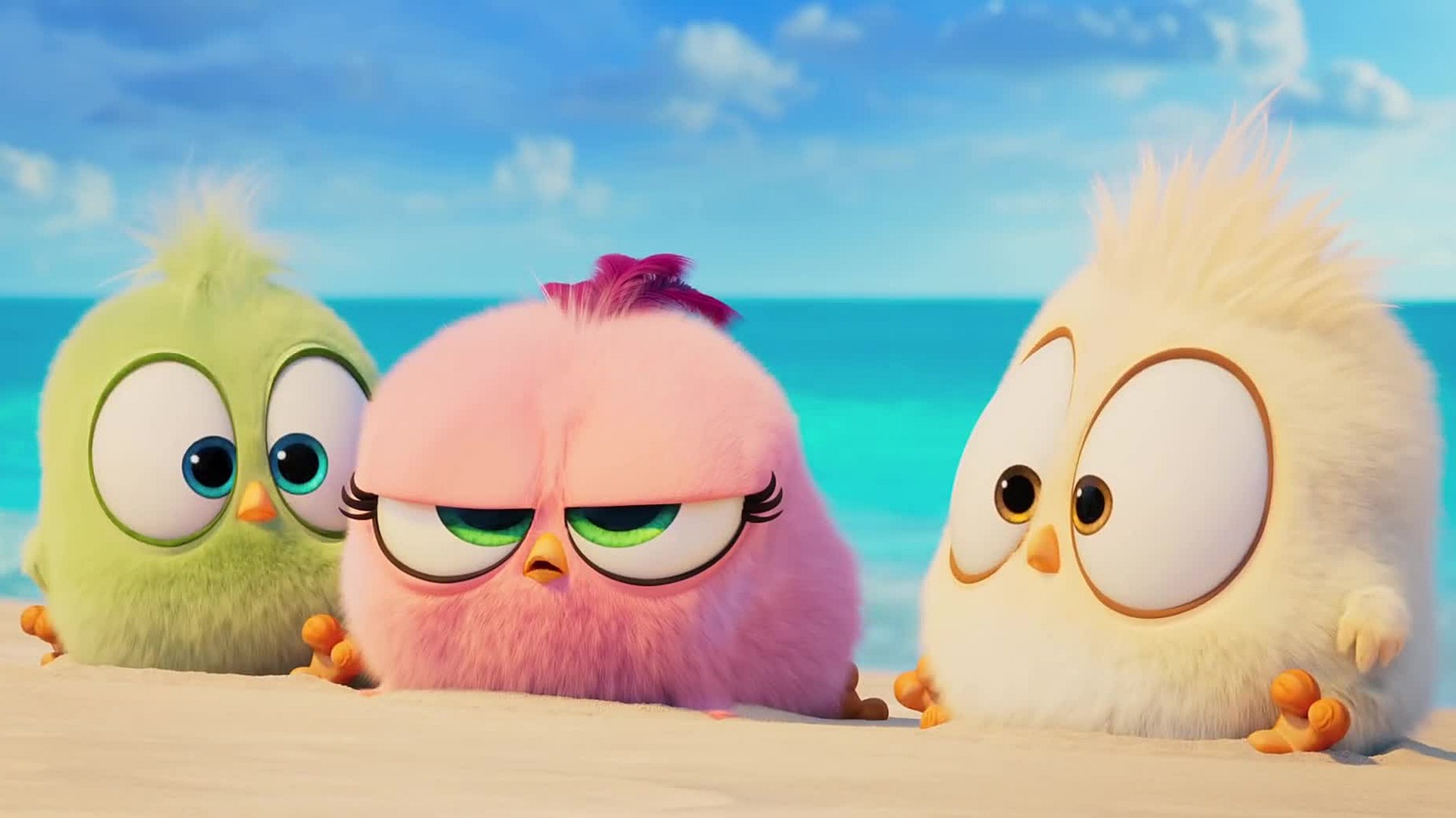 The Angry Birds Movie 2 Hd Wallpaper - Angry Birds Gif - HD Wallpaper 