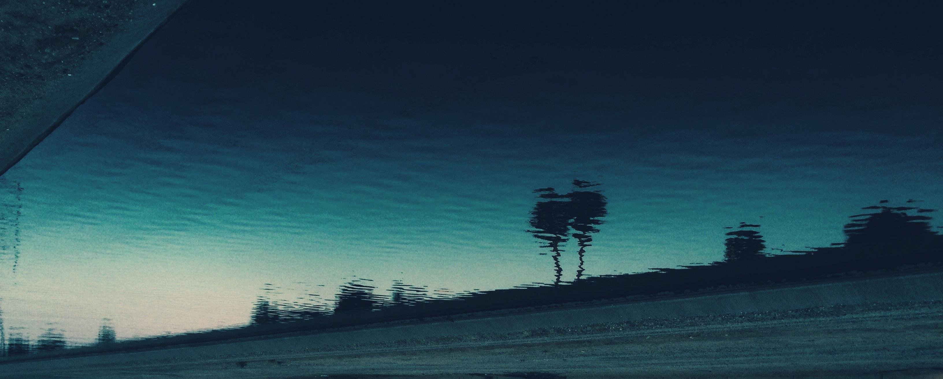Tree - HD Wallpaper 